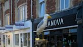 Seagull sculpture created to bring joy stolen from tree stump