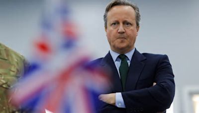 David Cameron urged to take senior role after election to help save Tory party