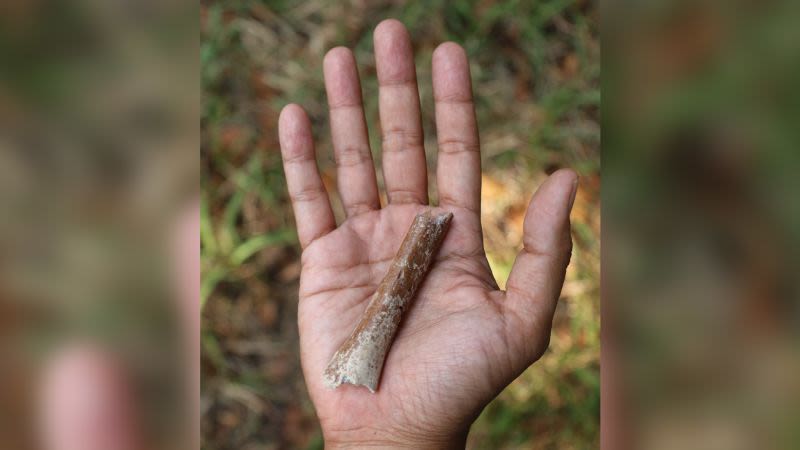 Newly discovered fossils shed light on the origins of curious ‘hobbit’ humans | CNN