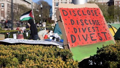 Campus protesters are demanding universities divest from Israel. Here's what that means.