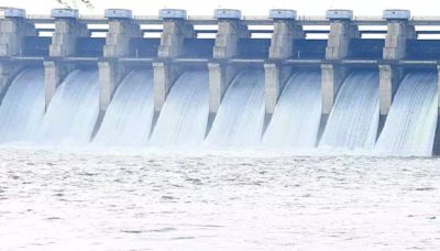 IREDA to invest ₹290 crore in Nepal’s 900 MW hydroelectric project - ET EnergyWorld