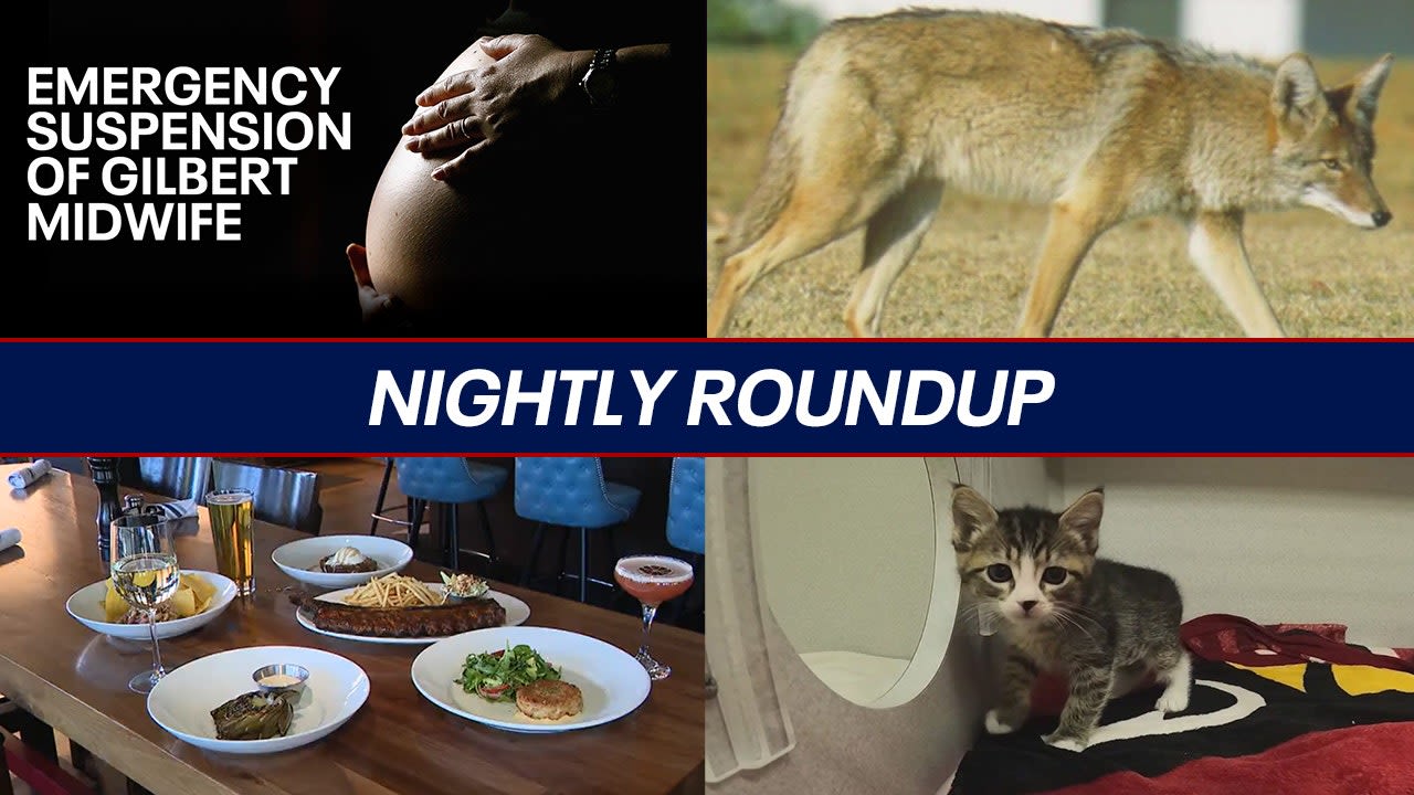 Midwife issued suspension for 'tortuous labor'; 10-year-old meets 'Rosie the Riveter' | Nightly Roundup