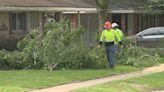 Lafayette mayor-president signs emergency declaration to try to secure state funds for severe weather debris cleanup