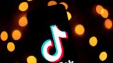 Accused of bias towards Perikatan, TikTok says moderators have no power to influence content