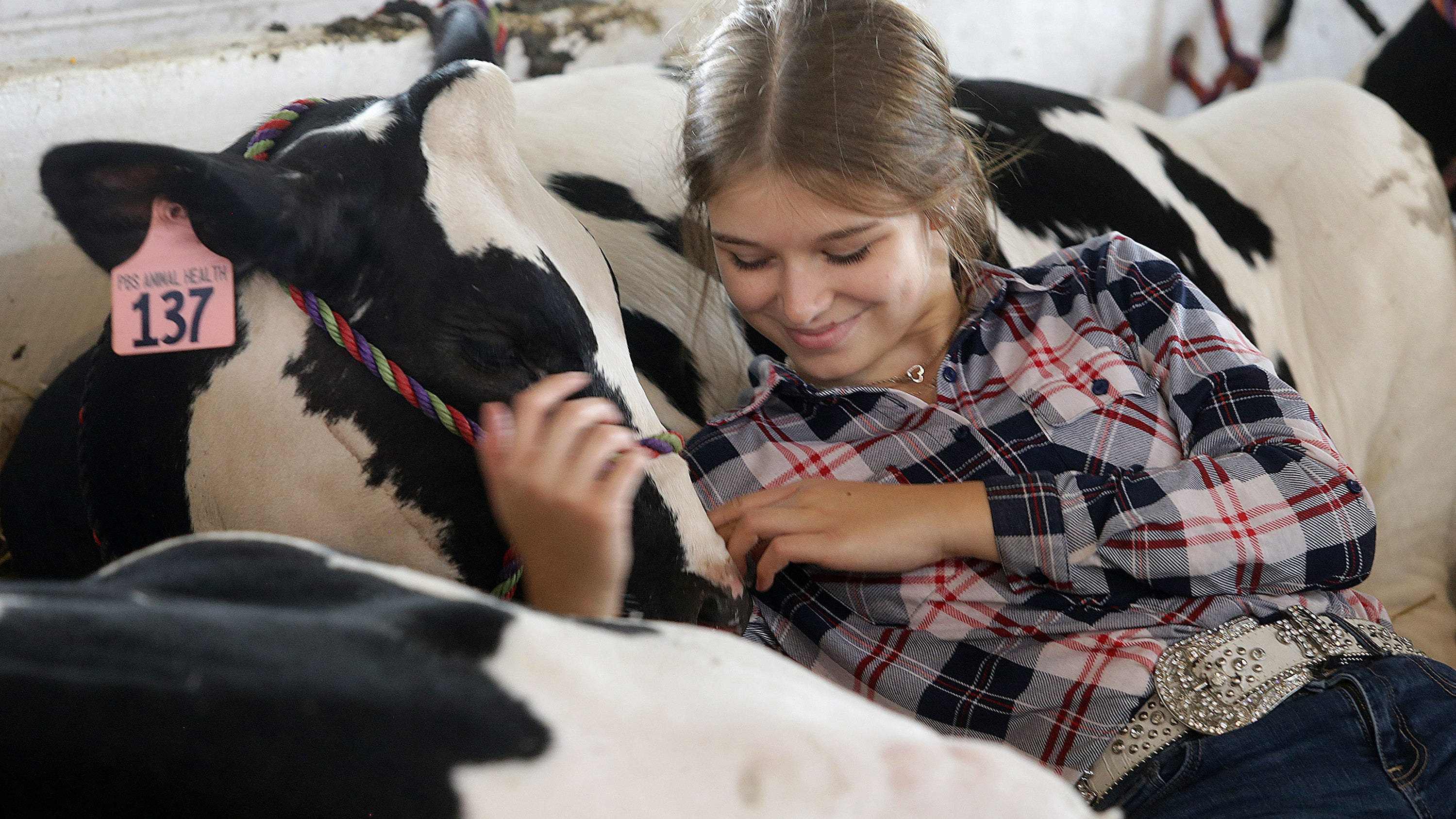 County fair season is underway in Ohio. Here's the rundown of all fairs