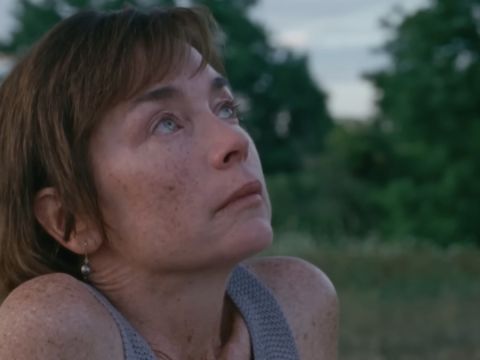 Mare of Easttown Director on Julianne Nicholson’s Moment Finally Coming in Janet Planet