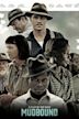 Mudbound