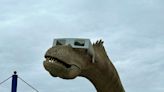The dinosaurs at Indy's Children's Museum have solar glasses. Do you? How to get them
