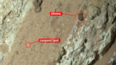 La NASA afirma que una roca de Marte sugiere que hubo vida antigua