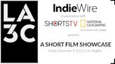 IndieWire Partners with National Geographic and ShortsTV to Showcase 2023 Oscar-Qualifying Short Films