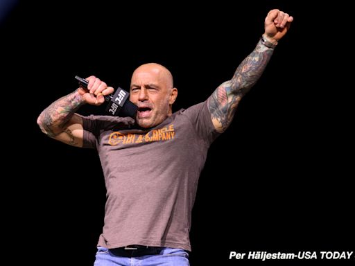 UFC commentator Joe Rogan announces ‘Burn the Boats’ live Netflix comedy special on Aug. 3