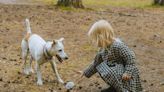 Si su perro convive con niños esta información le interesa | Teletica