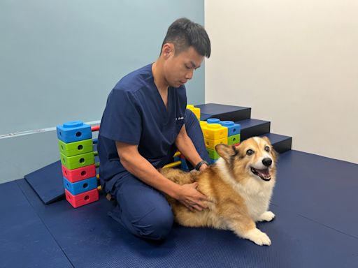 法國皇家呼籲健康 助力貓犬遠離肥胖