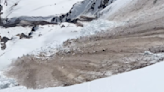 Watch as avalanche strips a French mountain bare