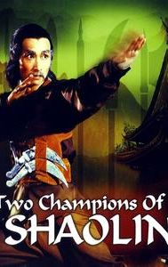 2 Champions of Shaolin