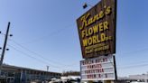 Planning Board approves redevelopment of Kane's Flower World into car dealerships