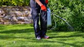 9 things to consider before using pesticide in your yard