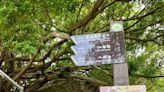 高市觀光局與國家自然公園管理處合作 增強壽山步道安全