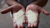 Malaysia to request additional 500,000 metric tons of white rice from India