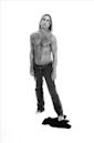 Iggy Pop