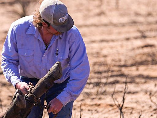 Jackson introduces bill to help cattle ranchers recover from worst wildfire in TX history