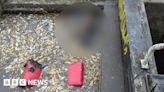 Dead XL bully locked in cage found in Birmingham canal