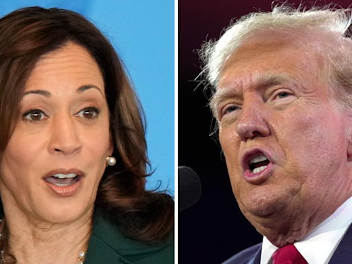 Harris slices Trump’s national lead in half: New polling average