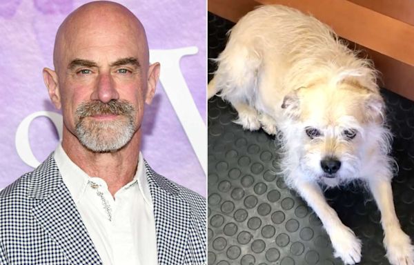 Christopher Meloni Shares the Cute Name He Wanted For His Dog — And Why His Family 'Nixed' It (Exclusive)