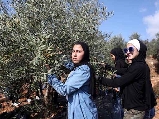 Illegal Israeli immigrants continue burning Palestinian farmland