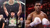 Tyson Fury vs Anthony Joshua is a fight between 'TWO LOSERS', says ex-champ