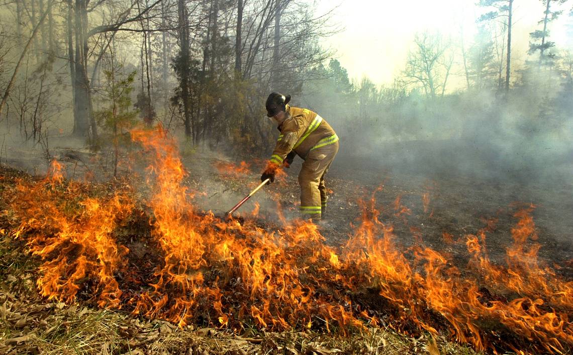 2 of 3 Triangle, NC, counties at ‘very high’ fire danger risk. How to stay safe.