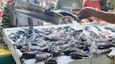 Fish imports during closed season to decline - BusinessWorld Online