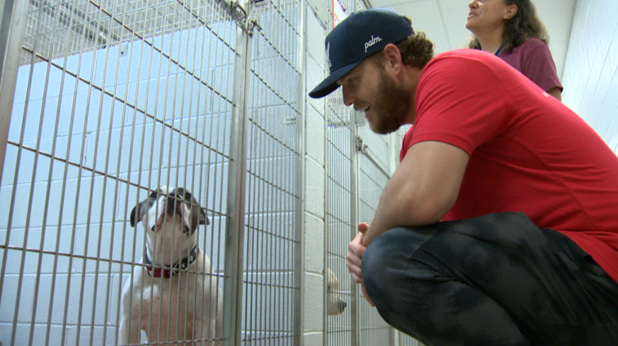 Cole Irvin, wife come to BARCS' aid after influx of dogs