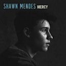 Mercy (Shawn Mendes song)