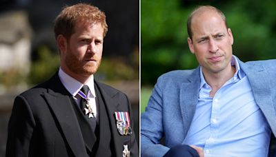 Prince Harry ‘missed an opportunity’ to repair Prince William feud: expert