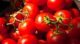 What has climate change to do with high tomato prices across the country?