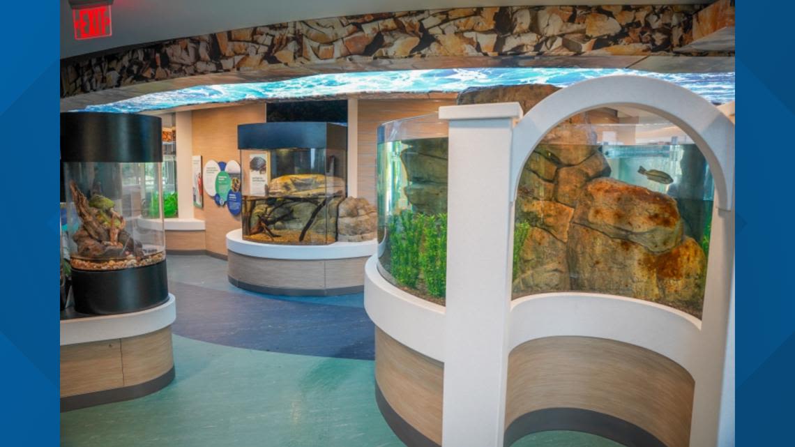 Great Lakes species to be featured at Niagara Aquarium