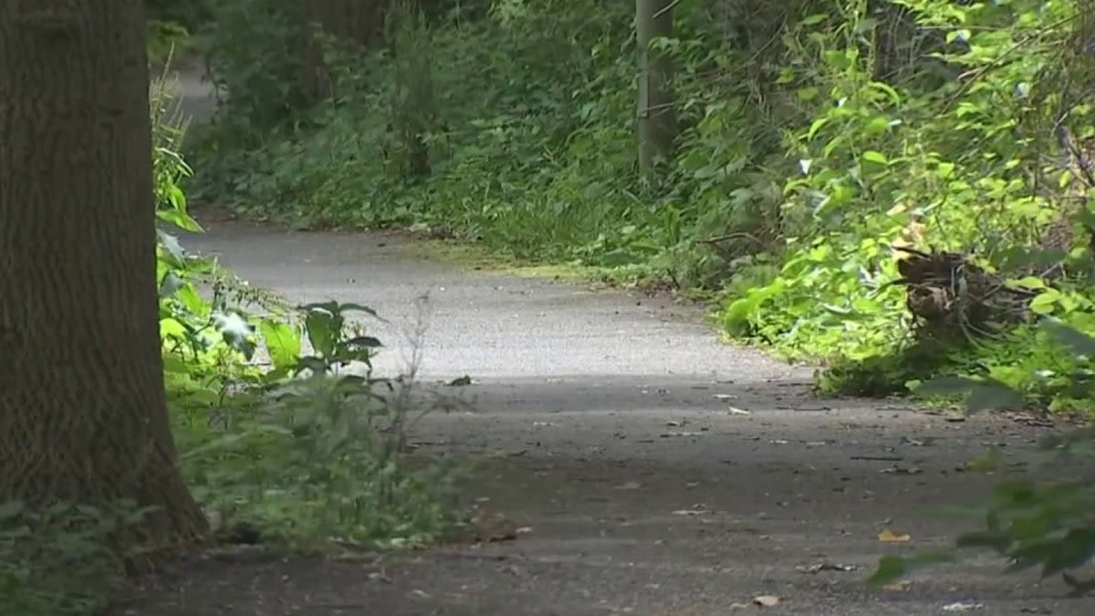 Road crew takes responsibility for bear found dead in Arlington
