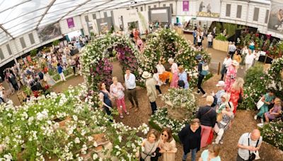 How to watch the RHS Chelsea Flower Show from the comfort of your own home