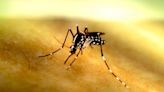 Mississippi confirms first human case of West Nile Virus in 2024