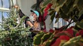 Hershey Christmas Tree Showcase: Central Pa. designers combine comfort with tradition