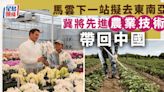 馬雲無意長居國外 冀將先進農業技術帶回中國