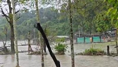 Teesta spurs plan to relocate residents of two forest villages in north Bengal