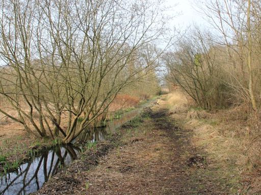 Exploring the ancient Somerset roadway one of the oldest anywhere in the world