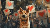 Doge Meme Icon and Dogecoin Mascot Kabosu Passes Away at 18