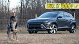 2024 Hyundai Kona: Will It Dog?