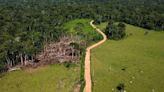 Brazil Amazon deforestation drops 34% under Lula, but El Niño is stoking the risk of forest fires
