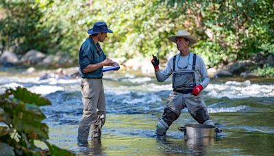 Nature designed California salmon to never go extinct. Why are they too close? | Opinion