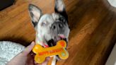 Treat your pup with goodies from these dog-friendly spots around Charlotte