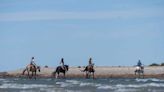 Cabalgatas en la costa patagónica: una extraordinaria experiencia de conexión con la naturaleza - Diario El Sureño